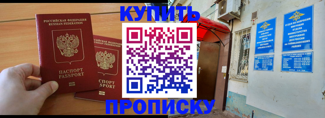 прописка штамп в Лыткарино